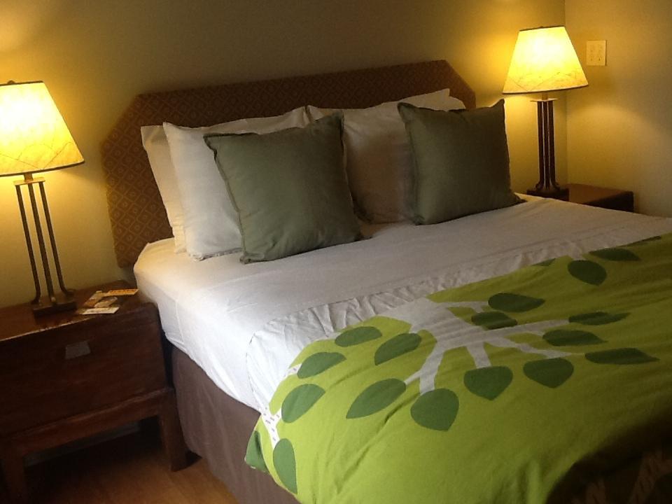 Zenyard Guest House 피닉스 객실 사진